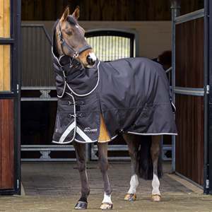 Durable Lightweight Horse Stable <b>Sheet</b> Winter Rug Standard Neck Design with Two Leg Straps Portable Equestrian Blanket for Cold - Product Image 6
