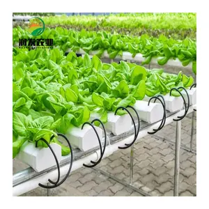 Multi-Span PC Greenhouse Hydroponics Grow Kit Nft Equipped Aquaponics System For Fish And Vegetable