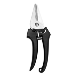 Sécatrices en acier inoxydable noires robustes, outil de jardin pour cueillir les fruits - Product Image 1