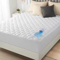 Housse de matelas imperméable anti-poussière taille double Jupes élastiques Utilisation hospitalière Protection de lit Coussin de protection de matelas