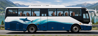 Nouveaux bus de luxe Tenglong de 10,5 mètres, diesel, Euro 3, manuels, 45 places, fabrication sur mesure, prix direct usine, personnalisation