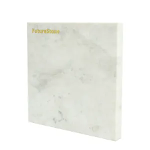 FutureStone 백색 대리석 자연적인 돌 큰 석판 도와 및 대리석 지면 벽난로 동상