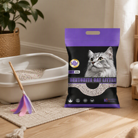 Litière pour chat en bentonite de haute qualité à agglomération rapide, absorption rapide, anti-odeur, en forme de boule, sable d'argile naturel pour les foyers multi-chats