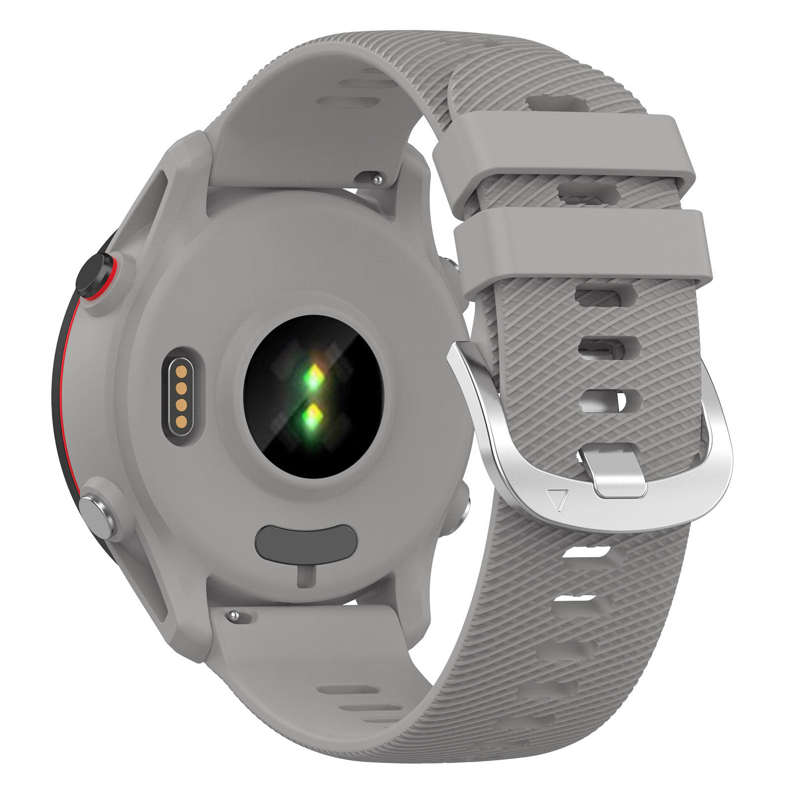 กบสีเทาตอนเช้า