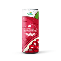 100% Natuurlijk Fruit Sap Mengsel Granaatappel Sinaasappel Appel Ananas Noni Yuzu |   OEM Private Label Leverancier van gearomatiseerde dranken
