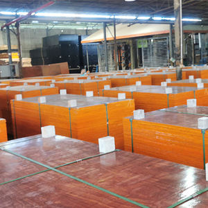 Usine de <span class=keywords><strong>contreplaqué</strong></span> de conteneur de bouleau bon marché à vendre <span class=keywords><strong>contreplaqué</strong></span> marin de <span class=keywords><strong>plancher</strong></span> de conteneur <span class=keywords><strong>remorque</strong></span> de port - Product Image 5