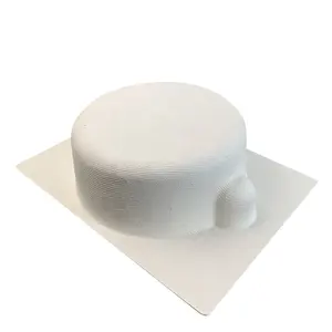 Fibre de pulpe de bagasse de canne à sucre biodégradable Emballage moulé UV Produits électroniques Plateau intérieur en papier Insert biologique en boîte