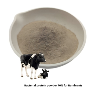 ส่วนผสมอาหารโปรตีน 70% สำหรับสัตว์ฟันแทะ โปรตีนแบคทีเรียชนิดผง สารเสริมอาหารสำเร็จรูป - Product Image 2