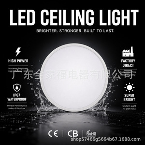 Led Ceiling <b>Light</b> Round 25000 Hours Cold White Surface Mounted For Bedroom Balcony <b>Corridor</b> - Product Image 4