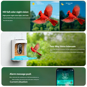 Comedero Inteligente para Pájaros con Cámara 2K HD, Reconocimiento de Aves por IA, Energía Solar, para Exteriores, Gran Venta - Product Image 4