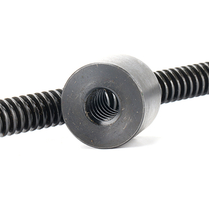 X Y As Lineaire Werktafel Oem Lengte En Diameter Vergeldende <span class=keywords><strong>Motion</strong></span> Filetage Trapzodal Tr16x4 - Product Image 6
