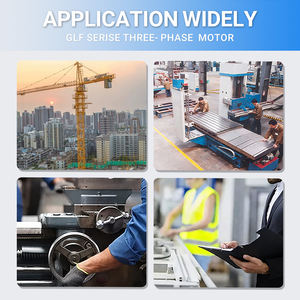 Industriële GLF-80M2-2 Driefasige Asynchrone Inductiemotor 3-fase Sleepringmotor - Product Image 6