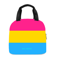 Sac à lunch arc-en-ciel non binarien pour femmes et hommes, sac fourre-tout réutilisable, sacs à lunch isothermes pour le travail, le pique-nique, l'école ou les voyages