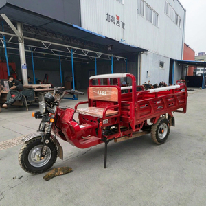 Triciclo de 200cc Más Vendido, Carro de Tres Ruedas con Carrocería Abierta/Cerrada para 2 Pasajeros - Product Image 3