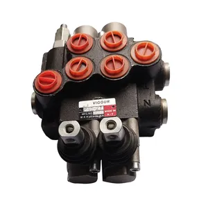 Hot Selling Model P40-2T Manual Two-way Valve Directional Valve