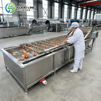 Luchtkussenwasmachine voor fruit, groenten, tomaten, appels en mango's