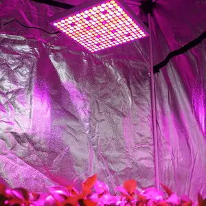 屋内植物用の費用対効果の高い簡単な設置フルスペクトル30W30cmLEDグローライト