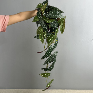 Nhà máy cung cấp đầy màu sắc nhựa nhân tạo Ivy Vine treo tường khoai môn và Thu Hải Đường Lá Faux cây xanh cho đám cưới trang trí nội thất - Product Image 6