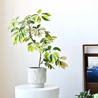 Pot de fleurs en céramique rustique de style Wabi-sabi, vase créatif pour arrangements floraux, hydroponie, plante verte d'intérieur, décoration