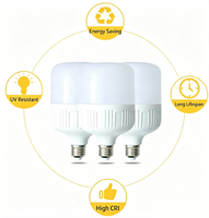 Ampoule en stock Garantie 2 ans Entrepôt 5W 10W 15W 20W 30W 40W 50W 60W B22 Super Lumineuse Tri-proof Courant Constant 6500K IRC 80-90