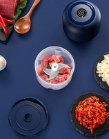 Mini hachoir à ail électrique, robot de cuisine sans fil, hachoir portable et mélangeur pour assaisonnement/épices/légumes/fruits/viande