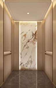 Ascensor Comercial de Pasajeros, Estilo Moderno, Accionamiento de CA sin Engranajes, Ascensor para Apartamentos, Aplicación en Centros Comerciales, OTIS - Product Image 2