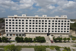 تمثال طائر صغير للديكور المنزلي، مصنوع يدويًا ومطلي من السيراميك والبورسلين، يوفر فنًا شعبيًا من الحيوانات المصنوعة من السيراميك المزجج والخزف والمينا. - Product Image 5