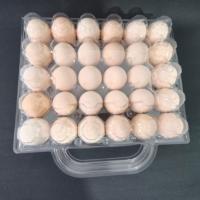 Plateau à œufs rigide en PET à 30 alvéoles, facile à transporter, en plastique transparent, pour œufs frais de ferme, boîte cadeau et présentoir de vente au détail