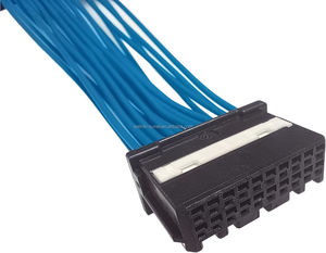 <span class=keywords><strong>IRISO</strong></span> IMSA1306S-2-20A/20B/20C + IPS-13065T-01A-T + Linksunet FLRY-A/faisceau de câblage automobile personnalisé FLRY-B-0.35 - Product Image 5
