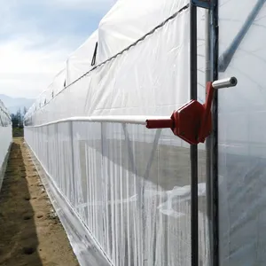 Good Quality Agricultural Used Commercial Single-Span Auto Blackout Light Deprivation Greenhouse