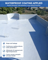 Peinture imperméable pour toiture et murs, idéale pour balcon, terrasse, sol, cuisine, réparation de toitures métalliques et aluminium