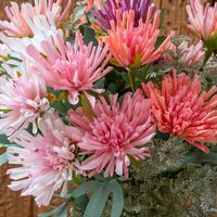 G-1209-2-1 Vente en gros de fleurs de chrysanthème artificielles réalistes à grande tête, chrysanthèmes blancs doux pour la décoration de mariage