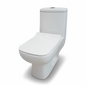 Ensemble de toilettes en céramique monobloc Dunlin Sanitaryware, double chasse d'eau, moderne, pour villa, salle de bain, école, toilettes, hôtel - Product Image 1