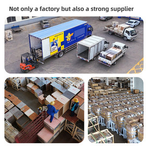 <span class=keywords><strong>Impastatrice</strong></span> Industriale Commerciale <span class=keywords><strong>a</strong></span> <span class=keywords><strong>Spirale</strong></span> per Panifici e Fabbriche di Impasti - Product Image 6