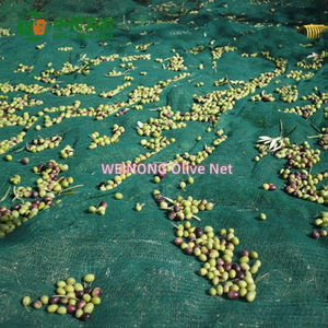 Filet de Récolte d'Olivier Premium WEINONG en HDPE Vert, Résistant aux UV, Haute Résistance à la Traction, Bâche de Collecte de Fruits, Durée de Vie 5-10 Ans - Product Image 6