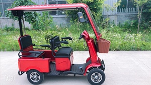 Tricycle électrique à deux sièges pour vieilles personnes, bicyclette avec <span class=keywords><strong>toit</strong></span> - Product Image 5