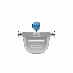 Medidor de Flujo Másico Coriolis Motion F050S176CCAPMZZZZ DN15 de Acero Inoxidable 316L con Control Remoto 1700 - Product Image 3