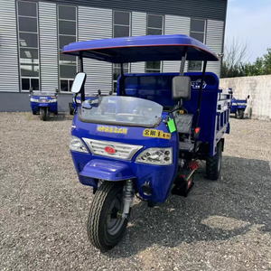 Tricycle diesel ou électrique de cargaison d'ingénierie pour le transport de matériaux de construction - Product Image 5