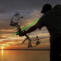 Arc à poulies professionnel de haute qualité HT Wholesale pour la pêche à l'arc, flèches de pêche à l'arc, flèches de tir OD 8mm en fibre de verre avec pointe en acier