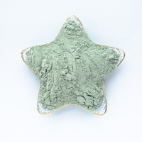 Poudre de polissage en carbure de silicium (SiC) vert haute pureté, poudre de SiC vert grain 1200 pour lames de mélangeur et de fonderie