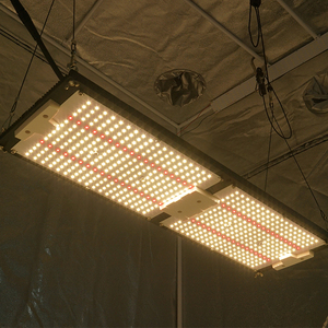Kingbrite 240 Watt Lm 301H Mix Epistar 660nm Rode Koning Brite 240 W Led Groeilicht - Product Image 4