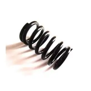 Black Big Compression Spring