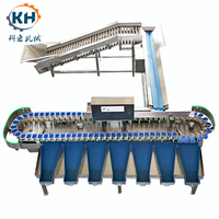 Fabrieks prijs automatische fruit- en groentesorteer-, -gradeer-, -was- en -weegmachine, capaciteit 160-280 stuks/min, vermogen 750W, sorteerstanden