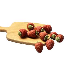 Etiqueta privada, nuevo diseño, comida para mascotas, aperitivos para perros, forma de fresas, Limpieza de dientes, golosinas dentales para perros OEM - Product Image 2