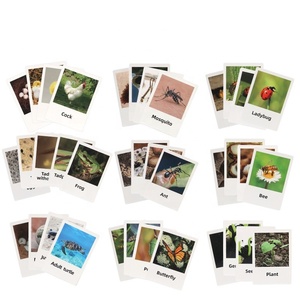 Giocattoli del ciclo di vita statuette di animali che insegnano aiuti per bambini <span class=keywords><strong>Montessori</strong></span> giocattoli educativi di <span class=keywords><strong>apprendimento</strong></span> precoce in età prescolare per bambini piccoli - Product Image 3