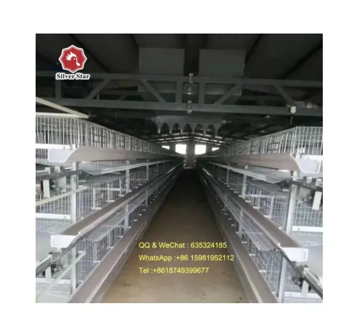 Best price China supplier H frame automatic chicken shed animal cage