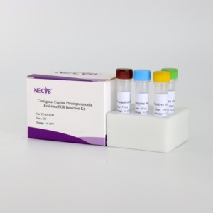 ערכת pcr פלורסנט רגישות גבוהה לזיהוי pleurosurדלקת בכבשים - Product Image 6