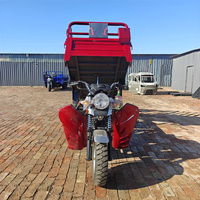 Nieuwe hoogwaardige 200cc benzine aangedreven vracht-driewieler met meer dan 1000W vermogen, open laadbak, kiepfunctie, 400kg laadvermogen voor landbouw en stedelijk transport