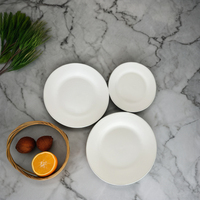 Assiettes plates jetables écologiques en céramique de porcelaine blanche pure de 10,5 pouces, grand format, prix de gros abordable pour hôtels