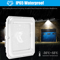 Projecteur LED 100W pour abri de voiture, température 3000K~5000K, IP65, pour station-service, garage, entrepôt, aménagement paysager